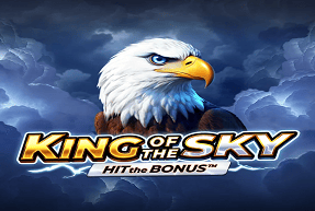 King of the Sky: Hit the Bonus